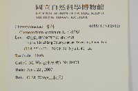 小葉藜藏品圖，第2張