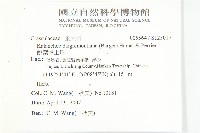 銳葉掌上珠藏品圖，第2張