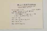 無心菜、鵝不食草藏品圖，第2張