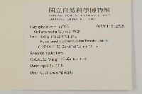 繁縷藏品圖，第2張