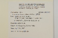 野茼蒿藏品圖，第2張