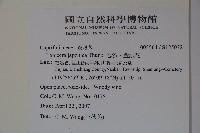 忍冬、金銀花藏品圖，第2張