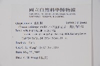 平伏莖白花菜、成功白花菜藏品圖，第2張