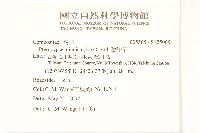 鵝仔草藏品圖，第2張