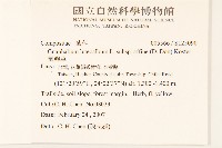 鼠麴草藏品圖，第2張