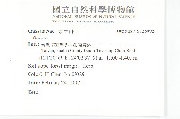 登錄號:S125095藏品圖，第2張