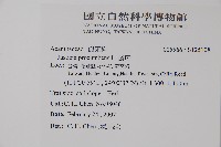 爵床藏品圖，第2張