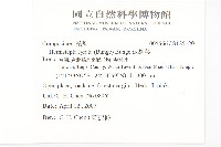 泥胡菜藏品圖，第2張