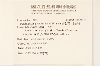 小舌菊、蔓綿菜藏品圖，第2張