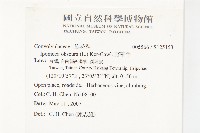 野牽牛藏品圖，第2張