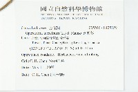 盒果藤藏品圖，第2張