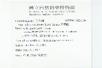 盒果藤藏品圖，第2張