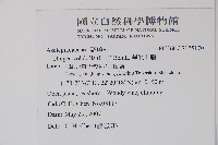 華他卡藤藏品圖，第2張