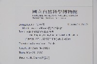 恆春厚殼樹藏品圖，第2張