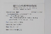 假川牛膝藏品圖，第2張