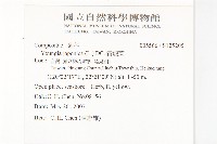 黃鵪菜藏品圖，第2張