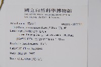 賽山藍藏品圖，第2張