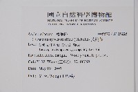 武靴藤藏品圖，第2張