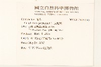 鼠麴舅藏品圖，第2張