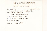 臺灣蒲公英藏品圖，第2張