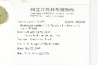 馬鞍藤藏品圖，第2張