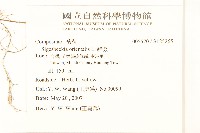 豨薟藏品圖，第2張