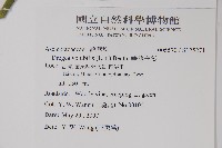 華他卡藤藏品圖，第2張