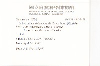 假吐金菊藏品圖，第2張