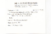 粗毛小米菊藏品圖，第2張