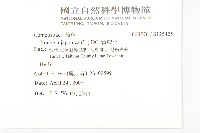 黃鵪菜藏品圖，第2張