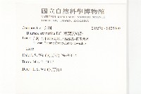 薄葉艾納香藏品圖，第2張