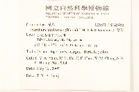 刀傷草藏品圖，第2張