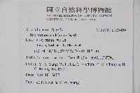 糊樗藏品圖，第2張