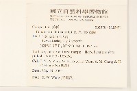 島田氏澤蘭藏品圖，第2張