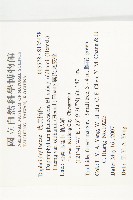 奧氏虎皮楠藏品圖，第2張