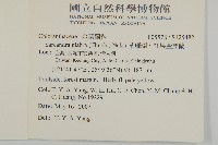 草珊瑚、紅果金粟蘭藏品圖，第2張