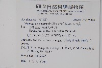 哈哼花藏品圖，第2張