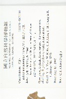 黑果馬交兒藏品圖，第2張