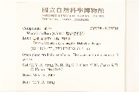 雙花蟛蜞菊藏品圖，第2張