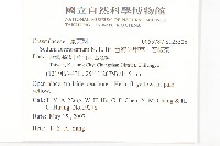 台灣佛甲草、石板菜藏品圖，第2張