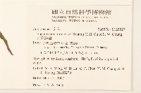 基隆澤蘭藏品圖，第2張