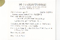 銳葉牽牛藏品圖，第2張