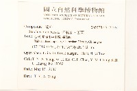 苦滇菜、苦菜藏品圖，第2張