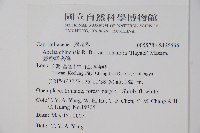 臺灣糯米條藏品圖，第5張