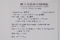 武靴藤藏品圖，第2張