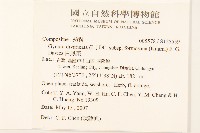 白鳳菜藏品圖，第2張