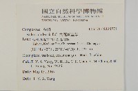 大花咸豐草藏品圖，第2張