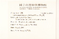 澤苦菜藏品圖，第2張