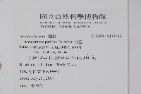 青莧藏品圖，第2張