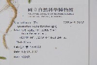 青莧藏品圖，第2張